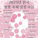 🌸🌸2023년 전국 벚꽃 축제 일정 &벚꽃 개화시기🌸🌸 이미지