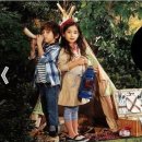 레몬트리 이미지