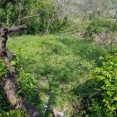 양덕동383 이미지