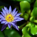 한마음행정사 이미지