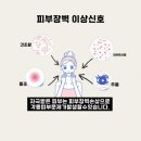 다르아크네 네이버블로그