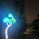 달빛호수 힐링하우스 | 강릉 감성 포토존 야경 데이트코스 명소 가볼만한곳 경포호수 달빛산책로 걷기