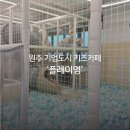 원주 기업도시 키즈카페 ‘플레이영’ 후기｜보호자 무료, 한적해서 좋았던 곳