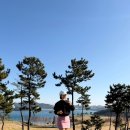 2 라운드 | 전남 여수 세이지우드CC, 국내 유일 아일랜드 겨울 오션뷰 골프장 2인 라운드 후기