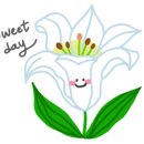 칠곡(부산) 이미지