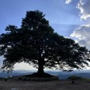 사랑나무공동체 이미지