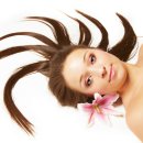 스타헤어 이미지