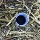 신두리농장 이미지