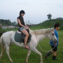 담양 사슴농원 이미지