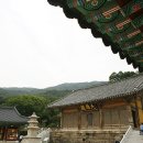 광시으뜸한우 | 기차여행, 멋과 맛이 살아 숨 쉬는 한적한 여정 ‘으뜸’