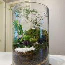 테라리움 이미지
