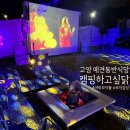 캠핑하고싶닭 | [고양 애견동반식당] 모닥불 야외 캠핑 분위기 가득 '캠핑하고싶닭' 후기