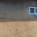 대영종합인테리어 - 강북구 삼양로159길 117 | 대영종합인테리어