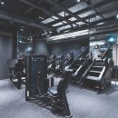 바디메이트 이미지