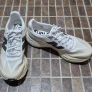 카본데일주 | 뉴발란스 쿠션화 1080 v14 -> 카본화 sc 엘리트 v5 비교 후기