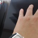 보네또 이미지