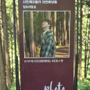 (주)지유네트 | 사천자연휴양림 목재체험장 네트포레 놀이터 방문노선 후기