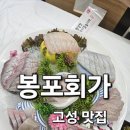 은숙이네횟집 | 고성 횟집 맛집 봉포회가 신선한 모둠회 한상 후기