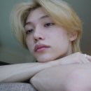 네스테이 이미지