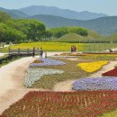 신라고등학교 이미지