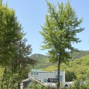 솔토장어 | 과천 장어맛집 솔토장어