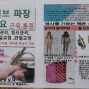 킹닥터
