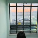 오이도수산시장 도다리·갑오징어 가격 후기 | 노을 보며 회 먹기 좋은 곳 | 성남호수산, 보라수산