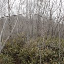 차돌배기로1 이미지