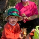 임광어린이집 이미지