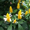 천상 농장 이미지