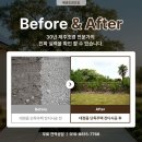 에덴정비 | 제주 단독주택 조경 공사 토목부터 돌담 잔디까지 '에덴조경건설'