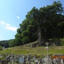 포천 관아터 이미지