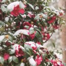 신안테크 이미지