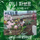 미니파브르(가드닝) / 펀퍼니아트 두 번째 수업 후기