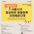 다라1천 이미지