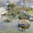 월산목장 이미지