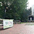 잠실3동성당 이미지