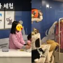 에이스지역아동센터 이미지