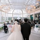 씨엘드포레