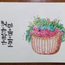 수성펜화 캘리 이미지