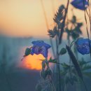 행정사 사무소 담은 이미지