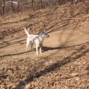 정선 농장 이미지