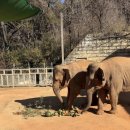 우치농장 이미지