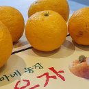 참샘푸드 이미지