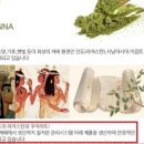 엔티에이치(nth)퀸즈헤나