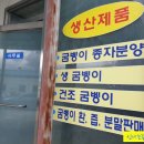 지리산 굼벵이 이미지