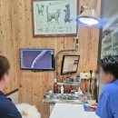 청천 종합 동물병원 이미지