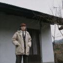 박지견서생생존모습 이미지