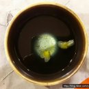 새금다정자 이미지