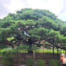 솔바람길 이미지